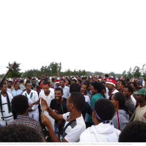 Malkaa Ateetee, Celebration of Irreecha Oromoo 2014 (6408Irreecha Oromoo bara 6408 kan Buraayyuu, Malkaa ateetee, Oromia. Irreecha Oromo Thanksgiving 2014,Malkaa Ateetee, Buraayyuu, Oromia . 9th October. Suura3
