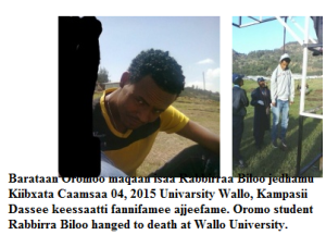 Health Science 1st year Oromo student Rabbirra Biloo hanged to death at Wallo University on May 4, 2015