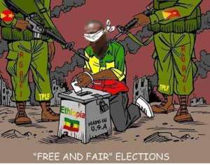 TPLF in electoral fraud, 24 May 2015