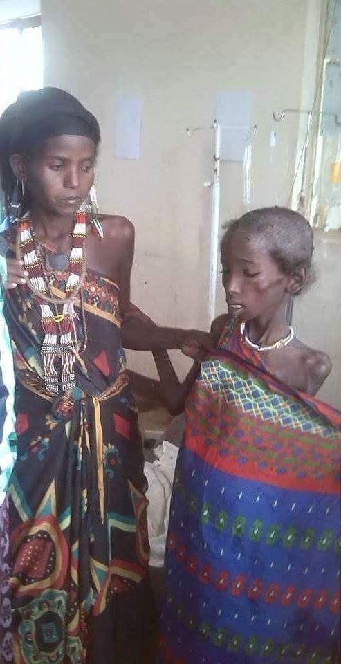 Drought, food crisis and famine in Afar state captured through social media, August 2015