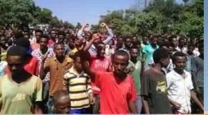 Oromo Students protest @ Ambo, Oromia 25th November 2015 picture1