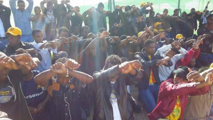 ‪#‎OromoProtests‬ Global Solidarity Rally Tabuk, Saudi Arabia, 11 December 2015