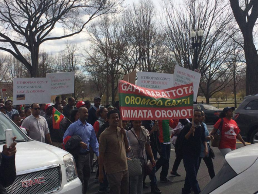 #OromoProtests Global solidarity rally in Washington DC, 11 March 2016.