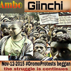 oromoprotests-started-in-gincii-ginchi-oromia-on-12-november-2015-and-continues-oromorevolution