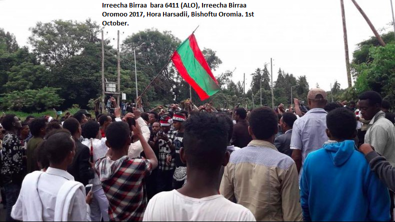 Irreecha Birraa bara 6411 (ALO), Irreecha Birraa Oromoo 2017, Hora Harsadii, Bishoftu Oromia. 1st October